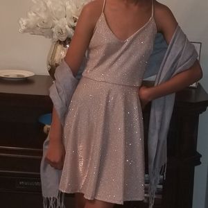 Winsor sparkling blush dress